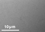 Figure 1 b-1