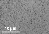 Figure 1 b-2