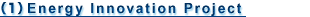 Energy Innovation Project